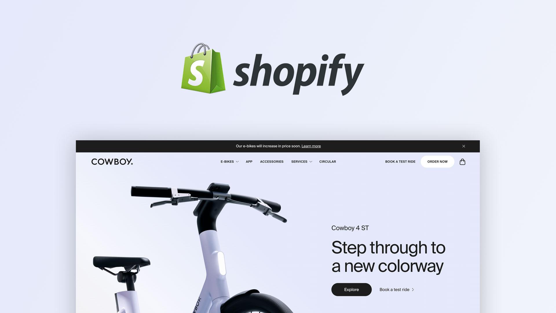 Shopify Code by Panduro